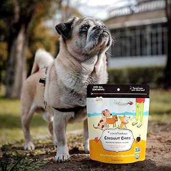 coco　Toffee✖️2 Amazon.com : Cocoy Coconut Candy 2lb 1.92oz 12pieces